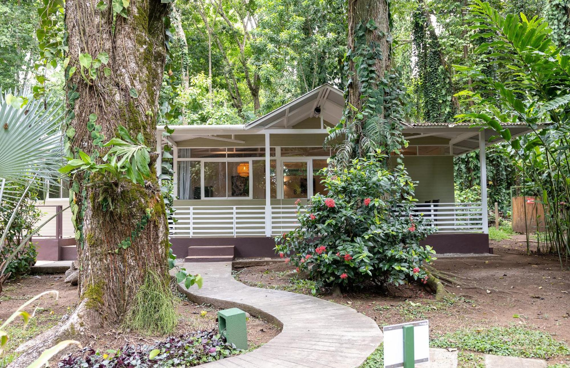 Jaguar Inn Bungalows Puerto Viejo de Talamanca Εξωτερικό φωτογραφία