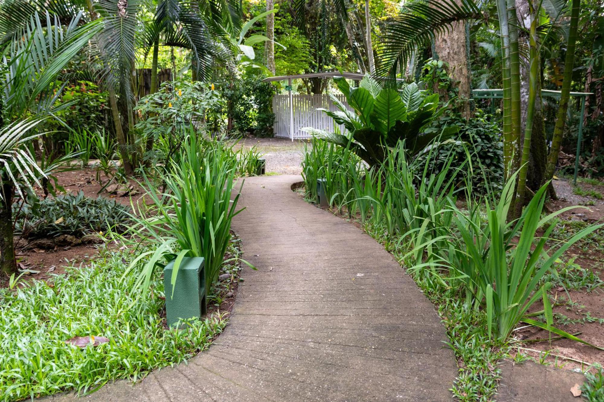 Jaguar Inn Bungalows Puerto Viejo de Talamanca Εξωτερικό φωτογραφία