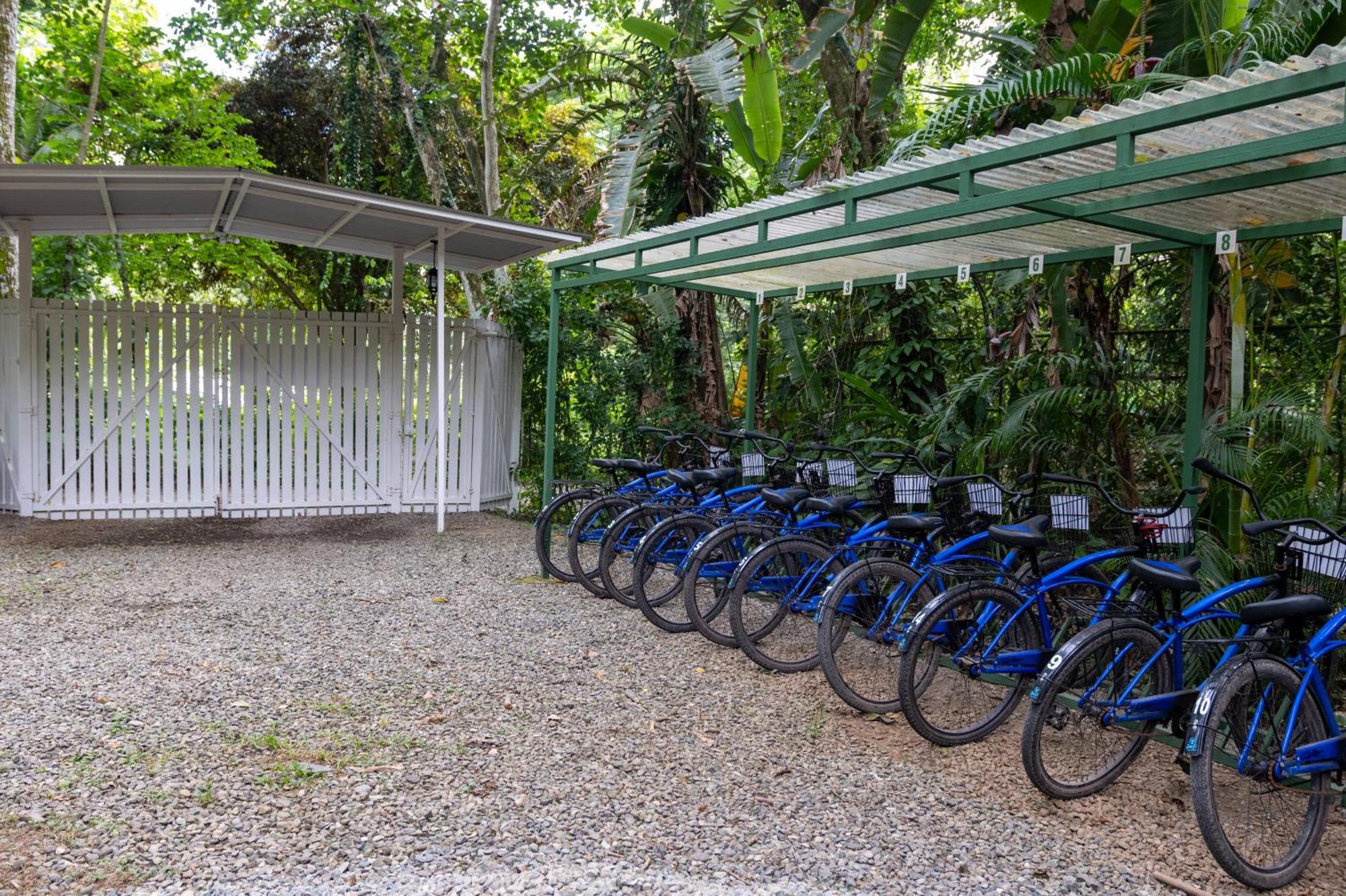 Jaguar Inn Bungalows Puerto Viejo de Talamanca Εξωτερικό φωτογραφία