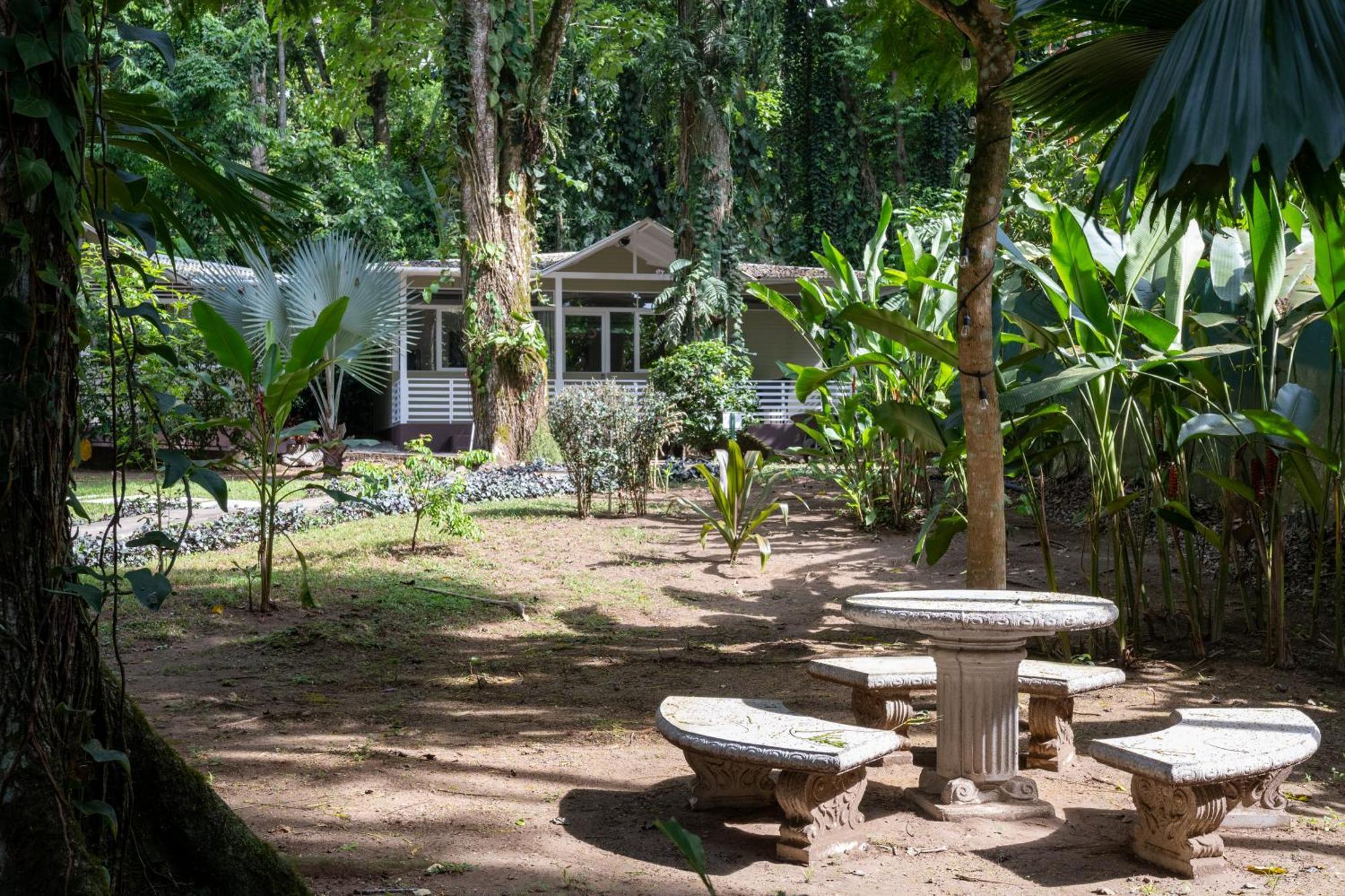 Jaguar Inn Bungalows Puerto Viejo de Talamanca Εξωτερικό φωτογραφία