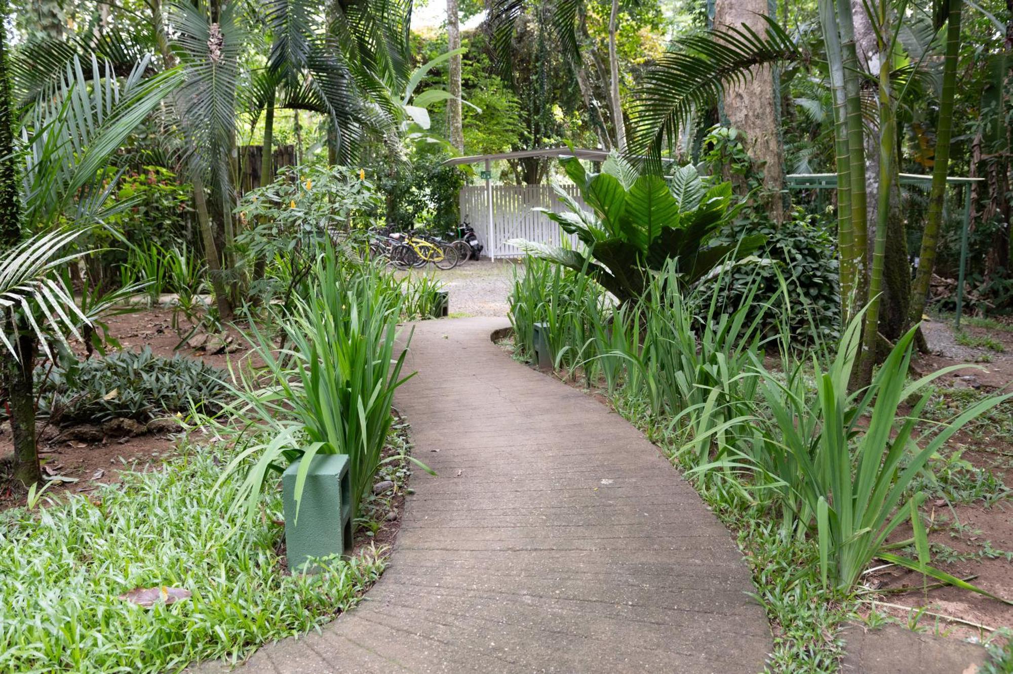 Jaguar Inn Bungalows Puerto Viejo de Talamanca Εξωτερικό φωτογραφία